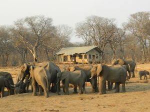 découvrez le tourisme durable : une approche éco-responsable qui préserve l'environnement tout en offrant des expériences authentiques et enrichissantes. explorez des destinations qui soutiennent les communautés locales et favorisent un avenir durable pour notre planète.