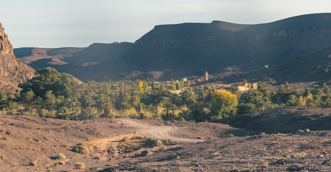 découvrez l'univers enchanteur d'oasis, une boisson rafraîchissante aux saveurs fruitées qui éveille vos sens. parfaite pour étancher votre soif à tout moment de la journée, oasis vous invite à savourer chaque gorgée dans une ambiance conviviale et joyeuse.