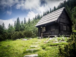 découvrez nos solutions de logement durable, alliant écologie et confort. explorez des habitations conçues pour minimiser l'impact environnemental tout en maximisant le bien-être des occupants.